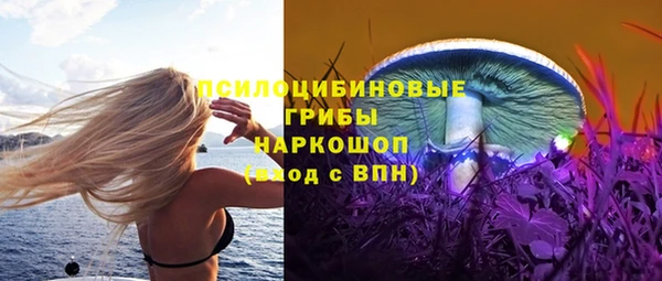 твердый Няндома